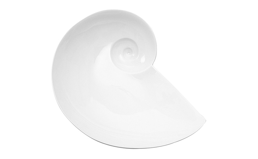 Moon Snail Bowl